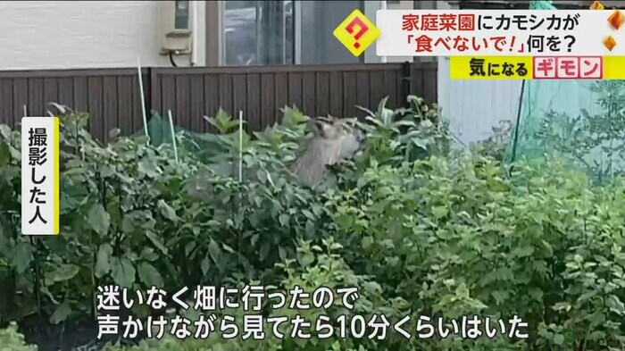 (FNN投稿サイト「ビデオPost」)