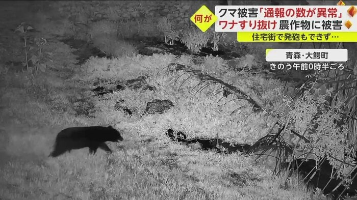 次の日も同じ畑に現れる