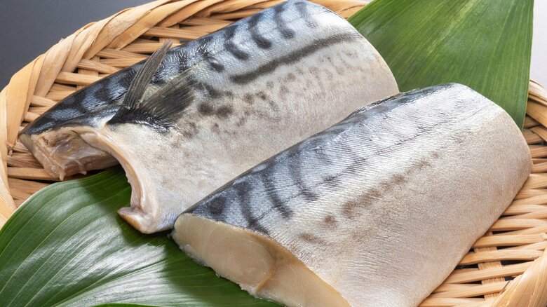 秋の味覚・サバが食べられなくなるかも？ノルウェー産依存と、脂が乗る前に獲ってしまう日本の漁業の仕組み｜FNNプライムオンライン