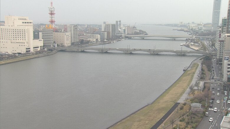 新潟市で桜の開花発表 平年より8日早く去年より6日早い開花 31日は最高気温20℃超の予想　新潟地方気象台｜FNNプライムオンライン