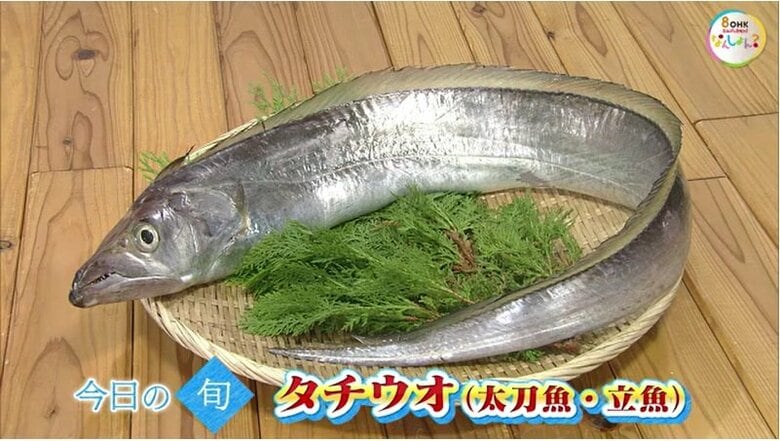 【瀬戸内旬紀行】銀色に輝く“ドラゴン”の正体は？今が旬の「タチウオ」の味わい方【岡山・香川】｜FNNプライムオンライン