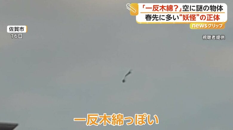 まるで妖怪「一反木綿」 空を舞う物体の“正体”は飛ばされた農業用ビニールか 電線に絡まれば停電の恐れも 佐賀市|FNNプライムオンライン