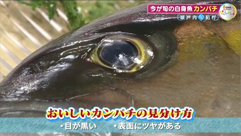 おいしいカンパチの見分け方