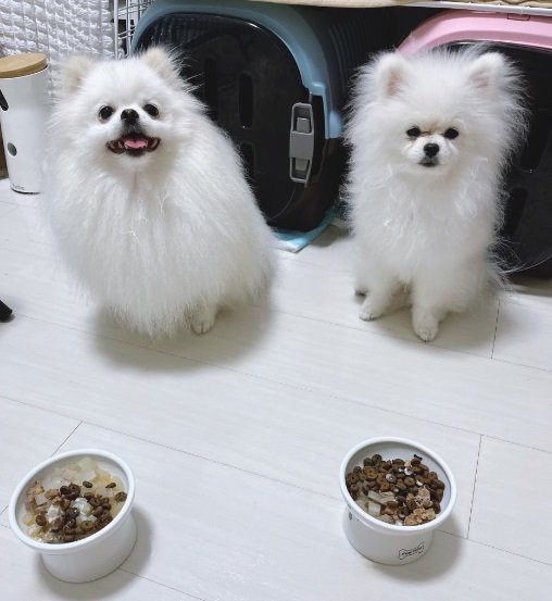 右のあんにんくんは、つまみ食いがバレてしまってちょっと拗ねている表情