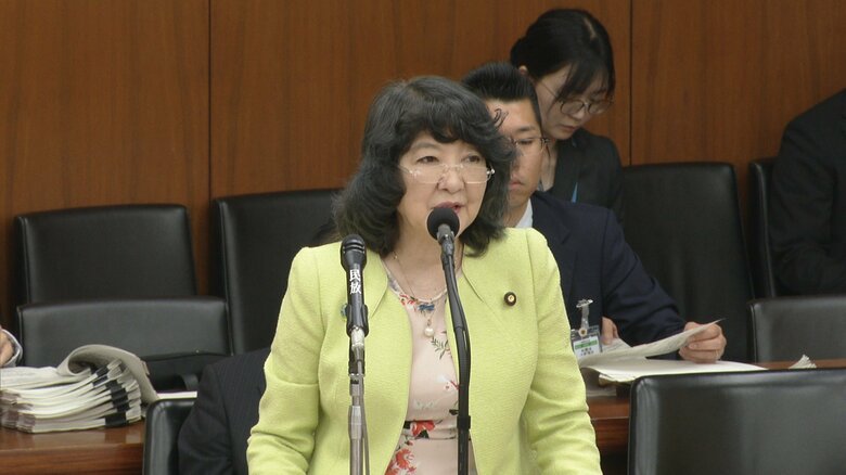 消費税減税関連法案の審議に入った衆院・財務金融委員会（21日）