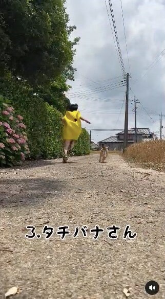 提供：タチバナさんの毎日ルーティン