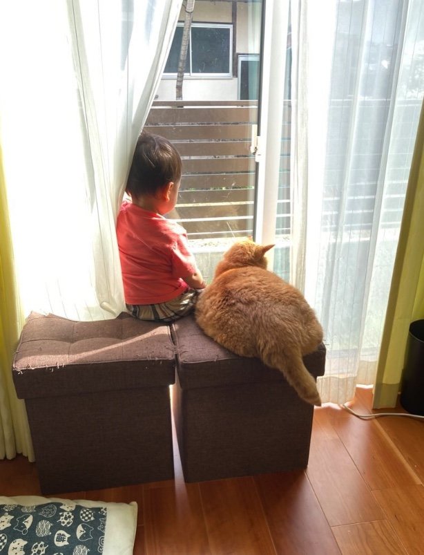 左：次男くん　右：すずくん（提供：かぎしっぽすず&つむぎさん）