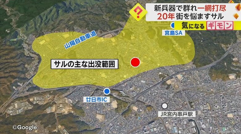 サルの行動範囲