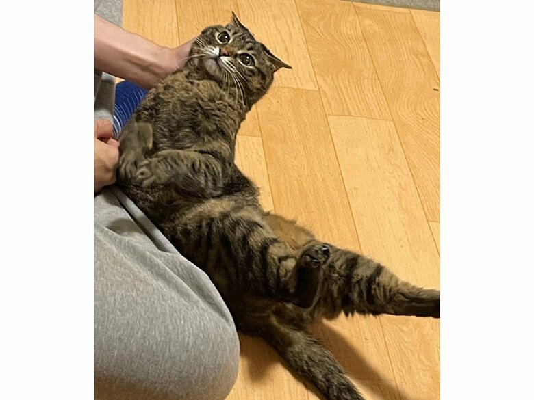 お兄ちゃんと仲良し