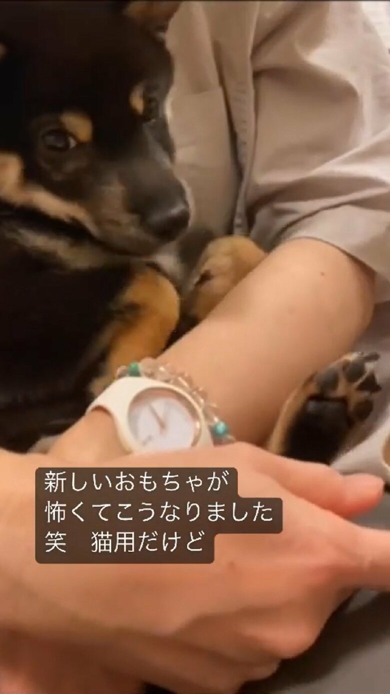 顔を上げるも…