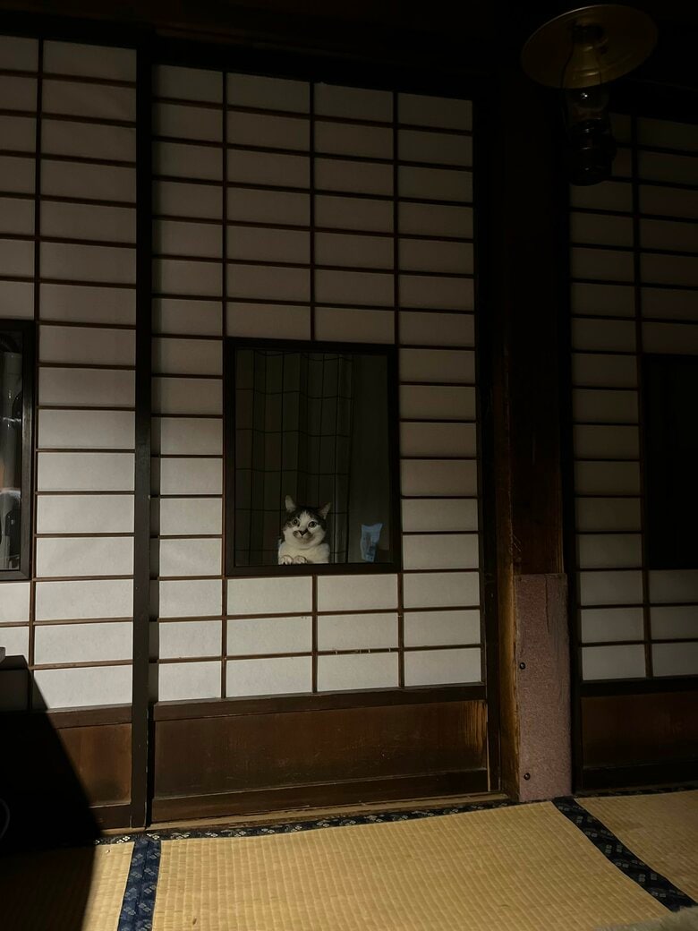 アソボ…（提供：いのうえもんぺさん）