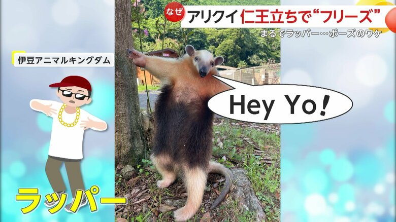ラッパーのような堂々とした出で立ち（提供：伊豆アニマルキングダム）