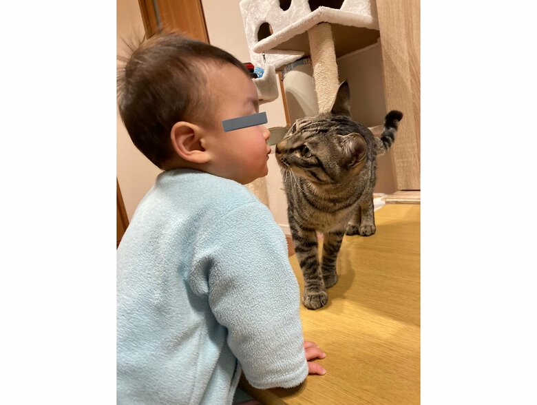 提供：かぎしっぽすず&つむぎさん