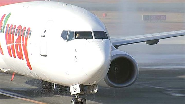 資料：韓国のLCCティーウェイ航空