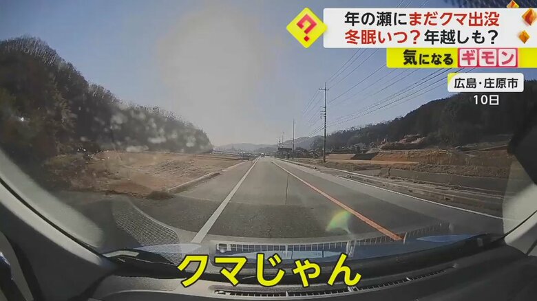 広島県庄原市で撮影されたクマが道路を横断する映像
