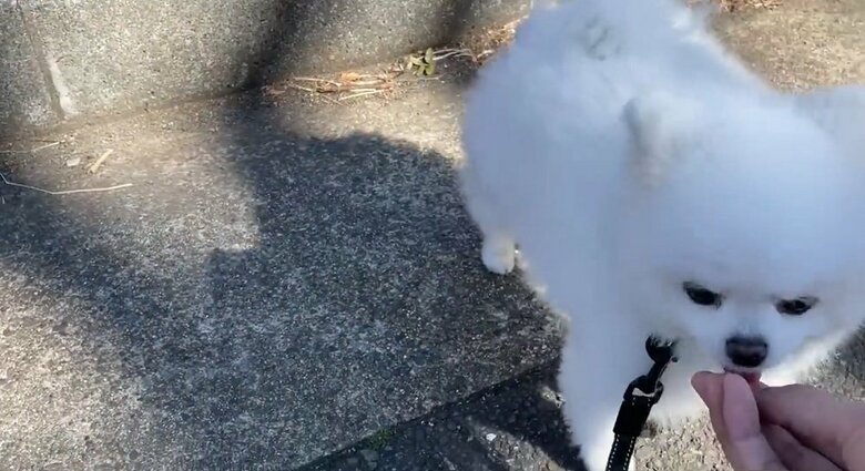 おやつをパクリ