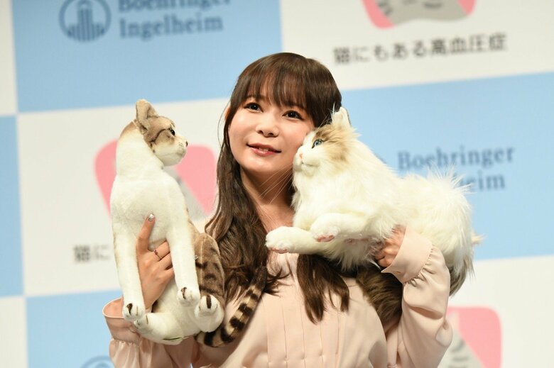 主催者名：ベーリンガーインゲルハイムアニマルヘルスジャパン　イベント名：5月17日は『高血圧の日』、猫にも高血圧症がある！