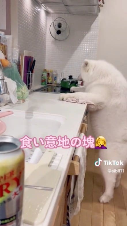 提供：ibukimama38さん