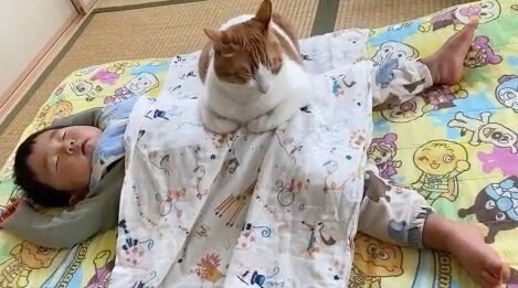 提供：Hassakuさん