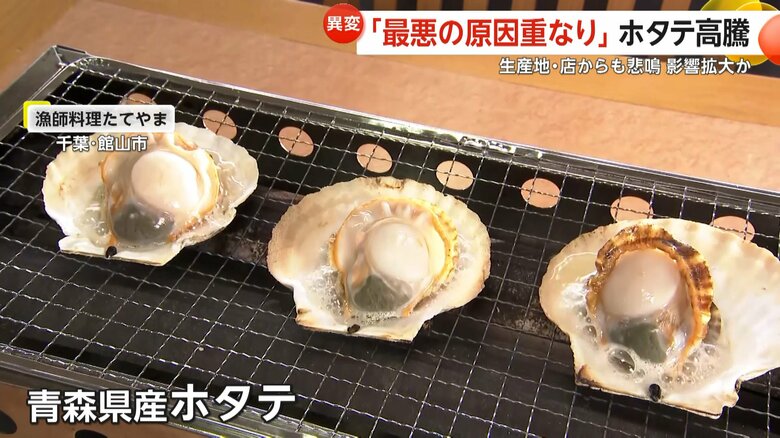 千葉・館山市の「漁師料理たてやま」で提供されていたホタテ