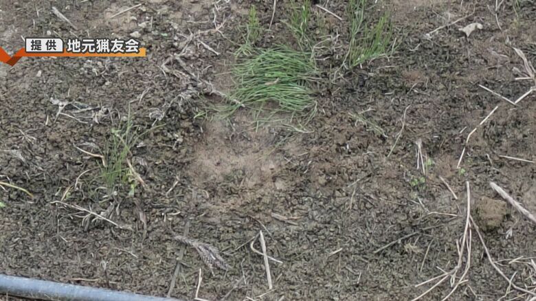 現場周辺ではクマらしき足跡も