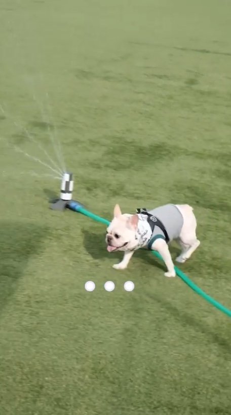 提供：むぎさん