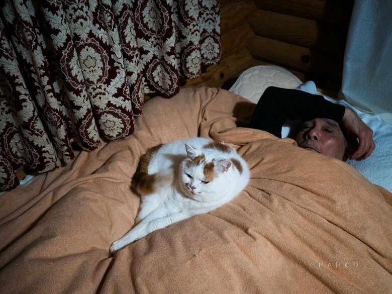 ときどき一緒に寝たりもする（提供：MARCOさん）