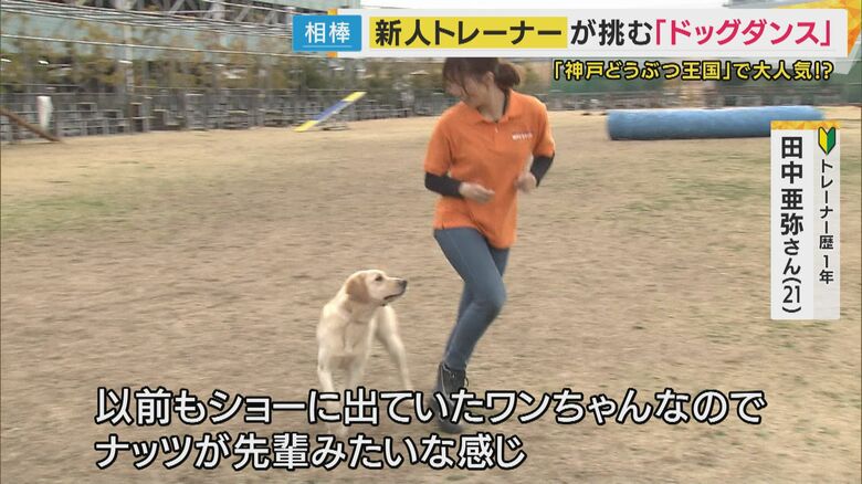 練習を重ねる田中さんとナッツ
