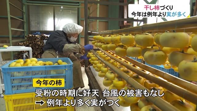 南砺の特産 干し柿作り「富山干し柿」「あんぽ柿」
