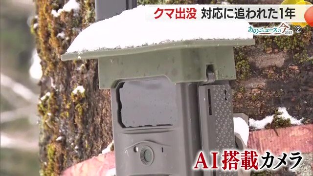 AIを搭載しているため、カメラ自身が学習し、その検知精度は年々上がっている