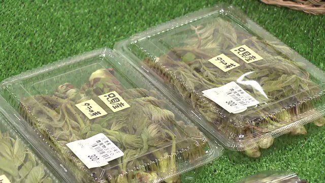 只見町の特産品が並ぶ　春はやはり山菜