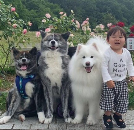 左からてんてんくん、おこげちゃん、ひるねちゃん、快くん