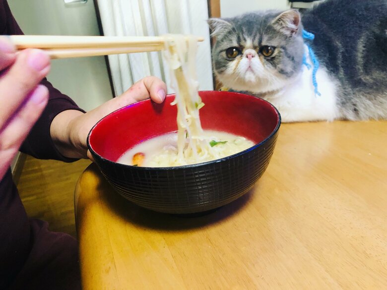食べ物を狙う時は真剣そのもの