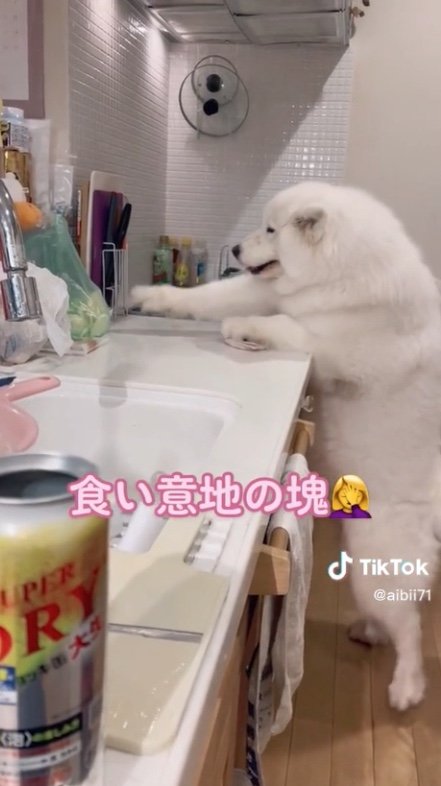 提供：ibukimama38さん