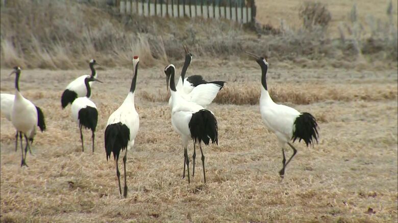 隣まちの鶴居村でもメガソーラーの影響が