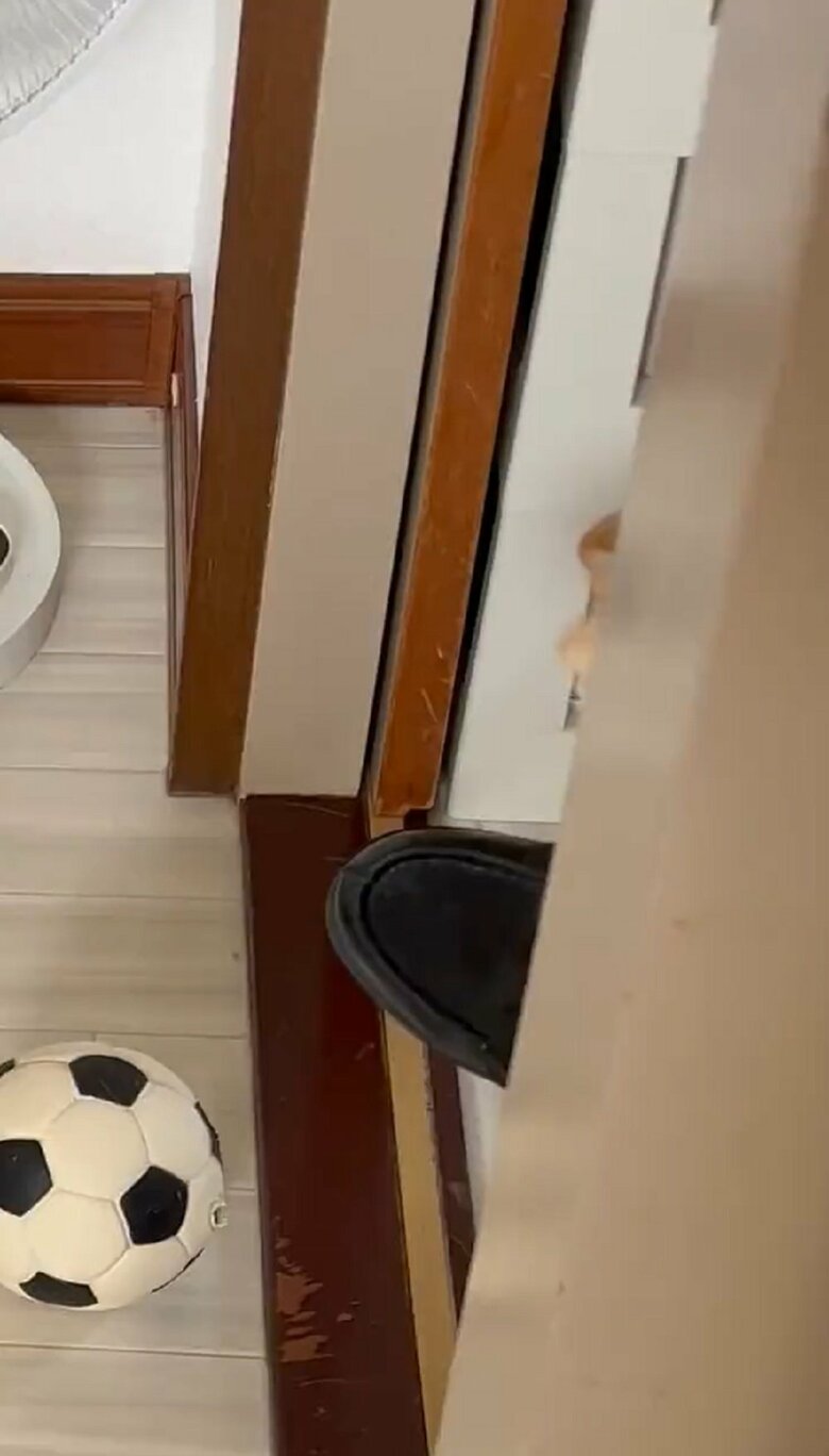 以前にも革靴で“検問”に引っかかったことが…革靴の先がひょっこり見える