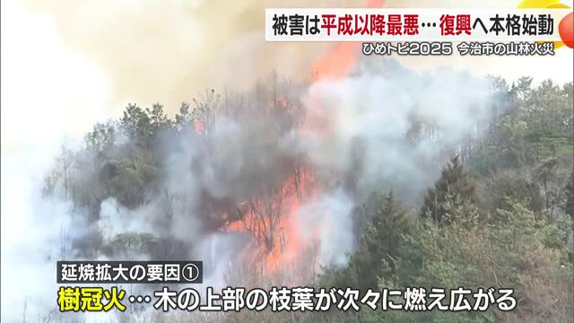 「樹冠火」の影響で火が拡大した可能性