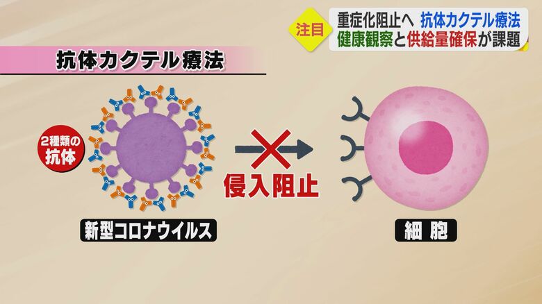 体内でのウイルスの増殖を防ぐ