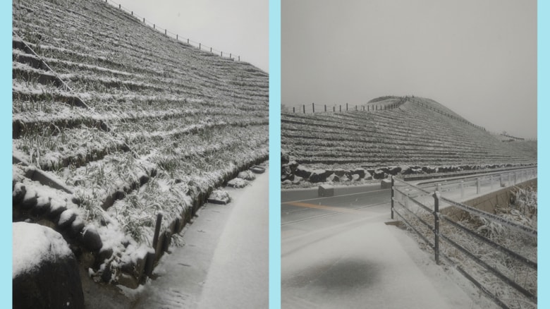 １月12日の様子