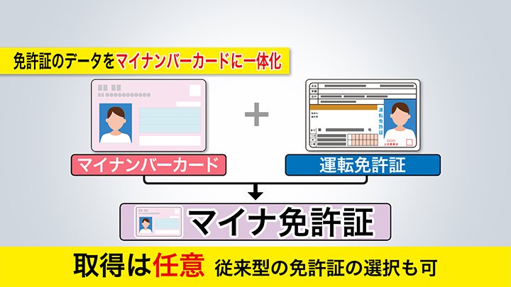 マイナンバーカードと運転免許証が一体化した「マイナ免許証」