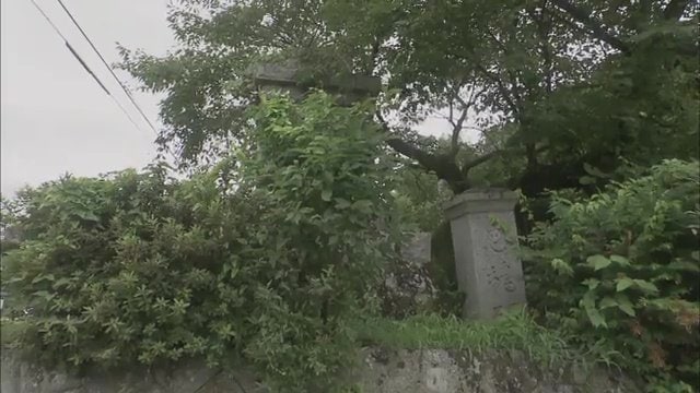 生い茂る草の中には台石　上部が下ろされた忠魂碑