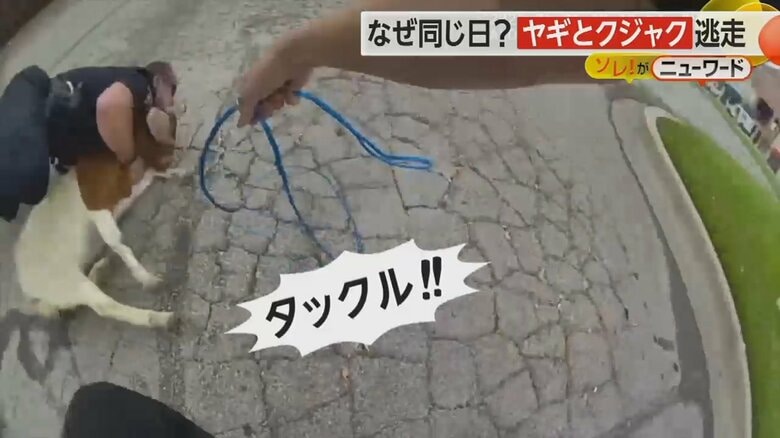 （Irving Police Department）