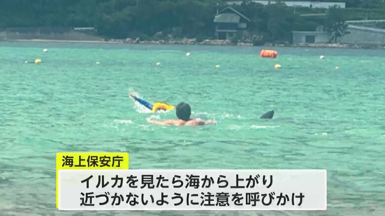 画像：ビデオポスト