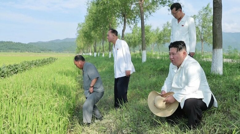 台風6号の被害を受けた農場を視察する金正恩総書記　2023年8月