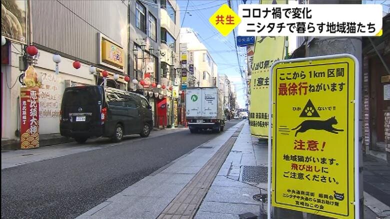 地域猫に注意するよう設置された看板