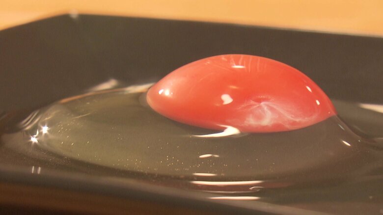 青山さんの店で使っている最高級の煮干しがエサ