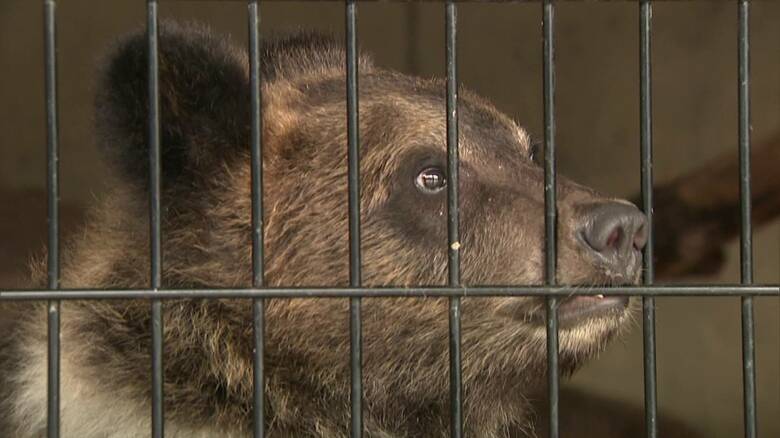 専門家は理解を呼び掛ける