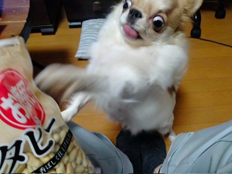 食べることが大好き！