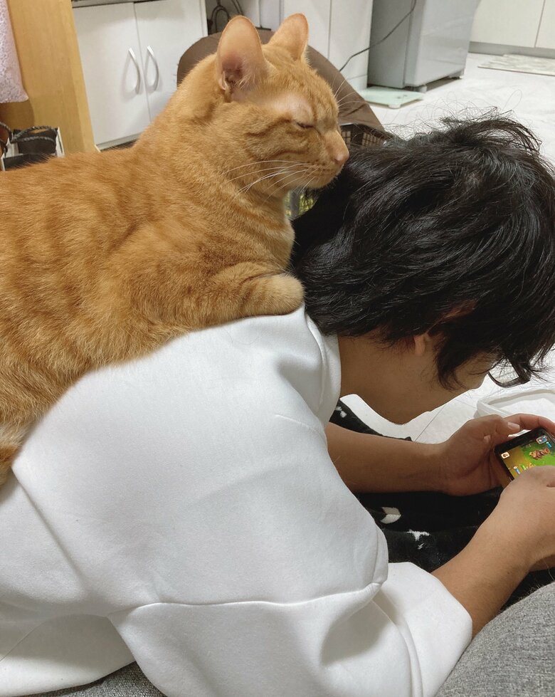 提供：たぬき&とらさん