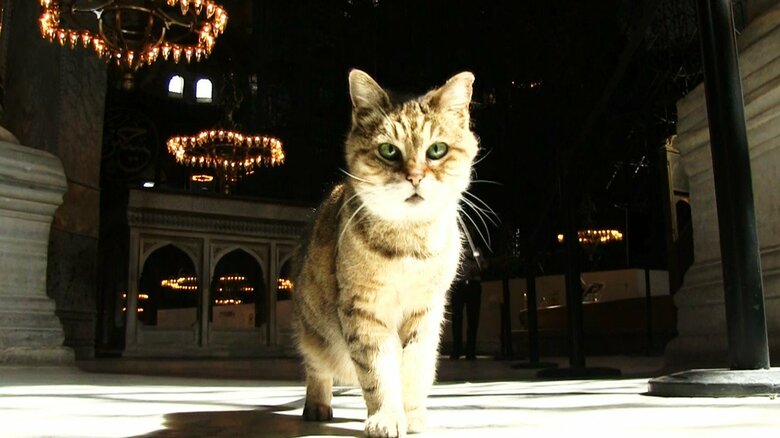 アヤソフィアの「主」　グリ